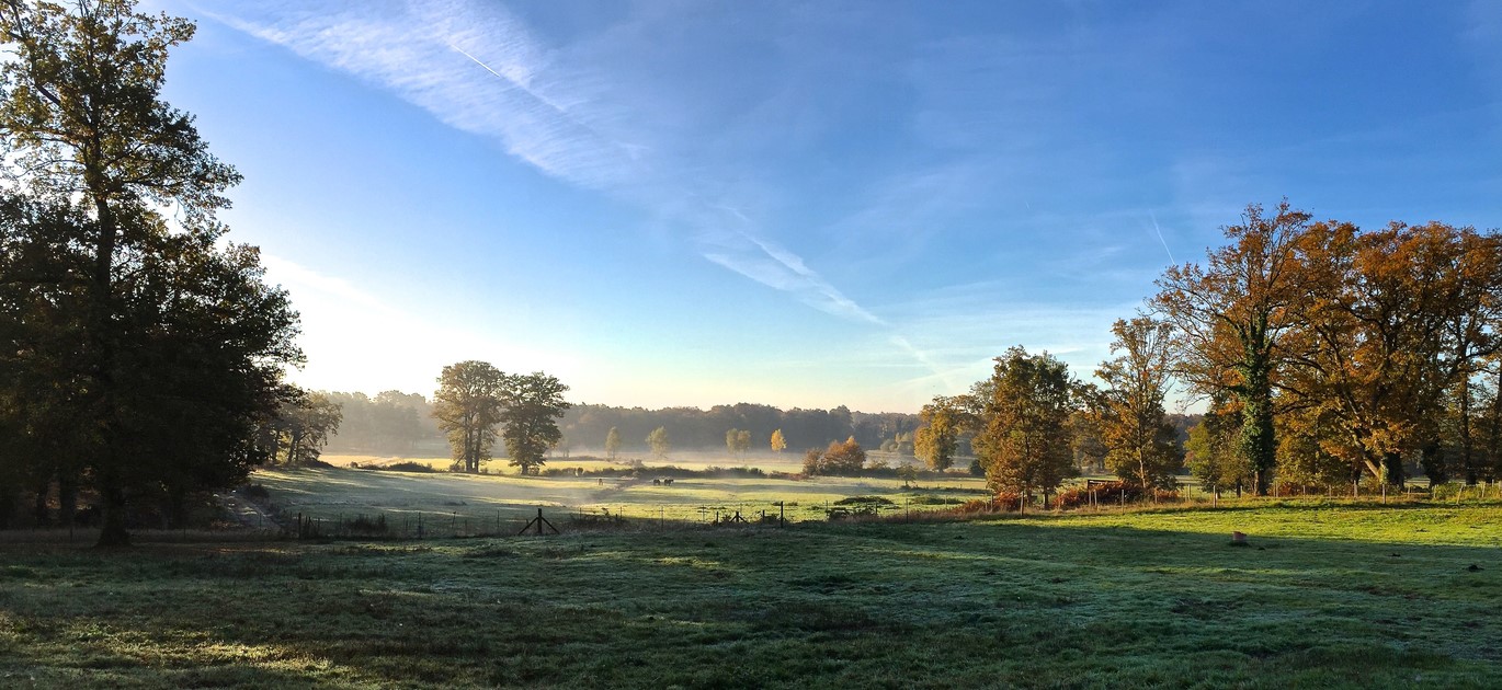 BARNES Centre Sologne Val de Loire