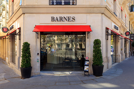 BARNES Business Development